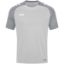 Afbeeldingen van T-shirt Performance zachtgrijs/steengrijs